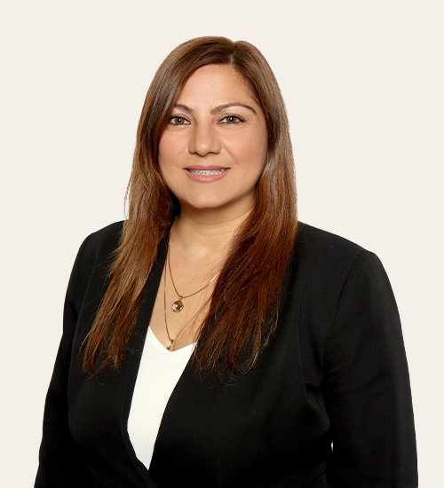 sinem akan